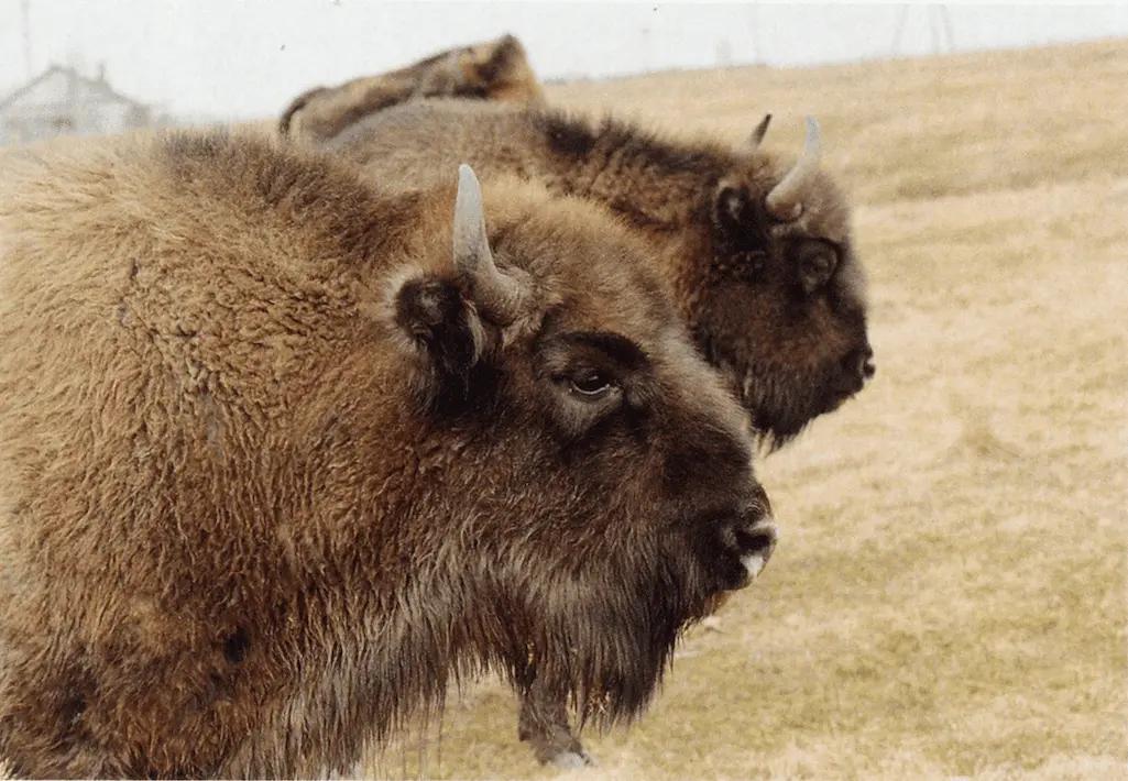 Фото: Александр Сорин / архив Еженедельного журнала