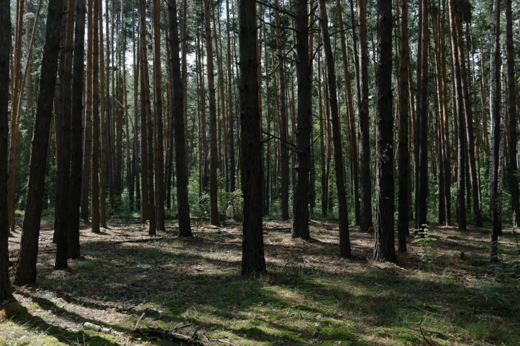 Фото: Новая вкладка