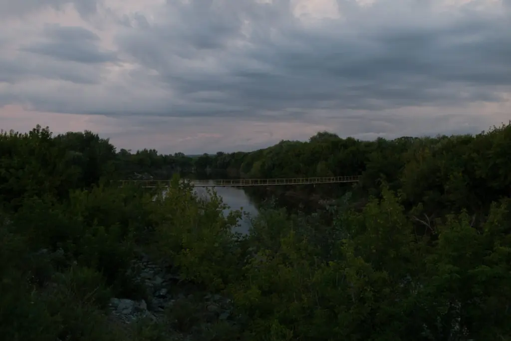 Фото: Новая вкладка