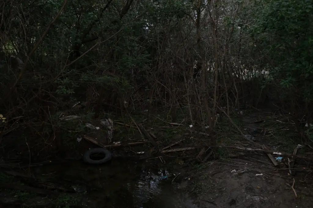 Фото: Новая вкладка