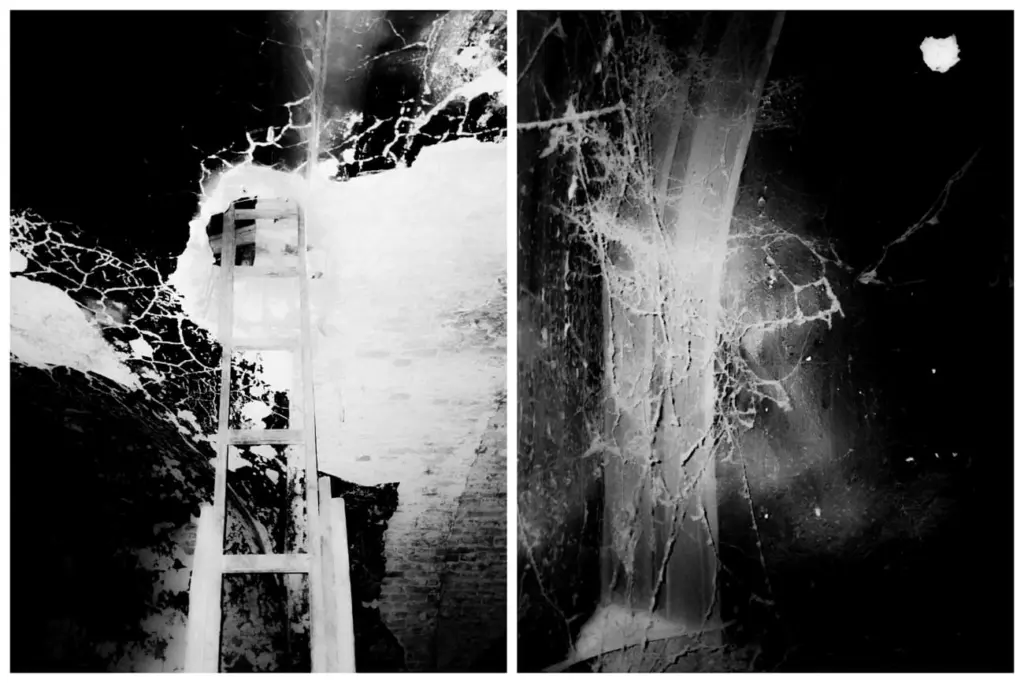 Фото: Владимир Аверин для НВ