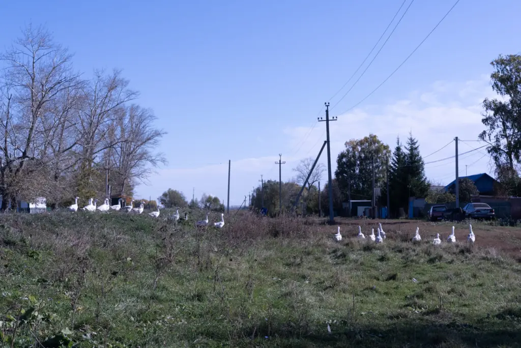 Фото: Владимир Севриновский