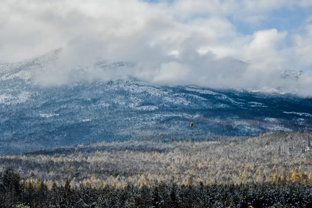 Фото: Алина Тихомирова для НВ