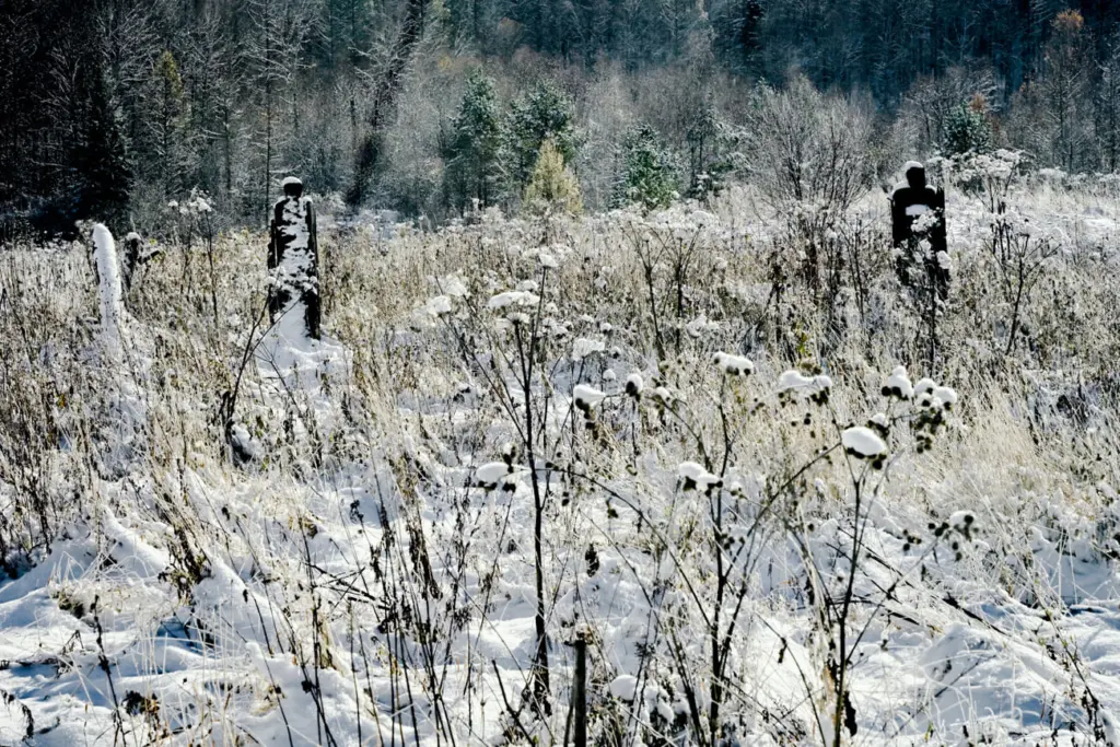 Фото: Алина Тихомирова для НВ