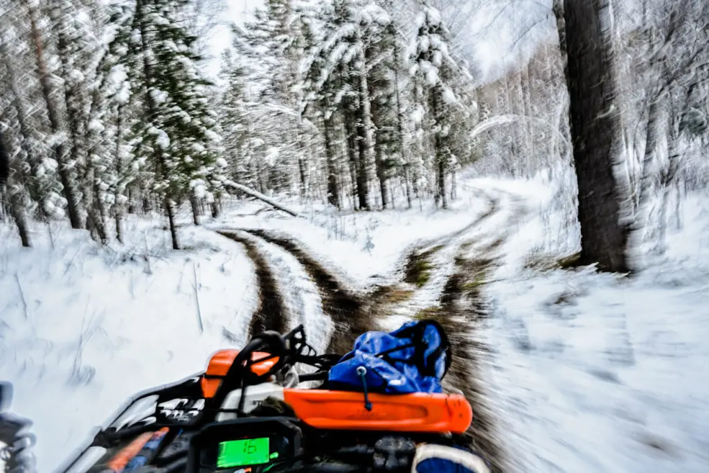 Фото: Алина Тихомирова для НВ