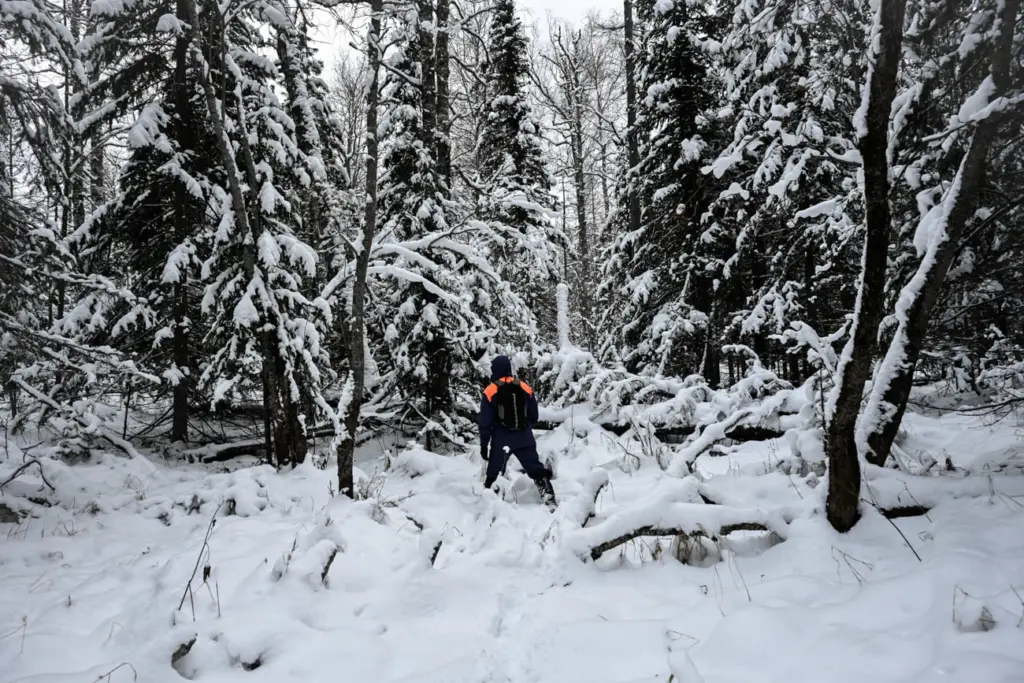 Фото: Алина Тихомирова для НВ