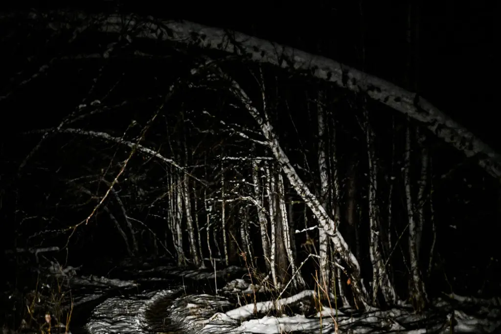 Фото: Алина Тихомирова для НВ