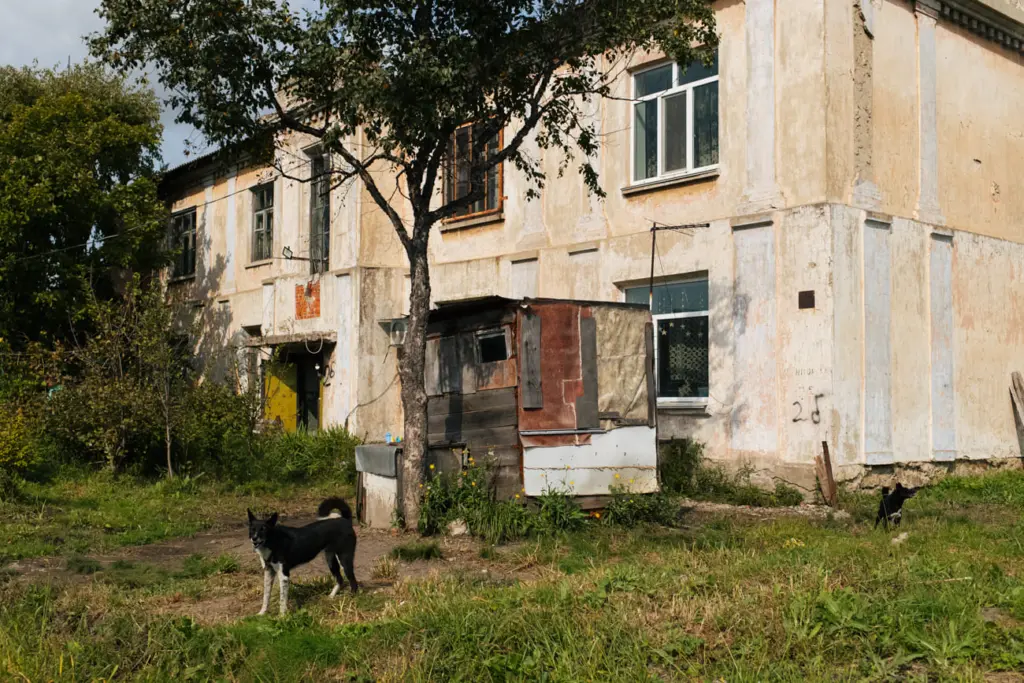 Фото: Новая вкладка