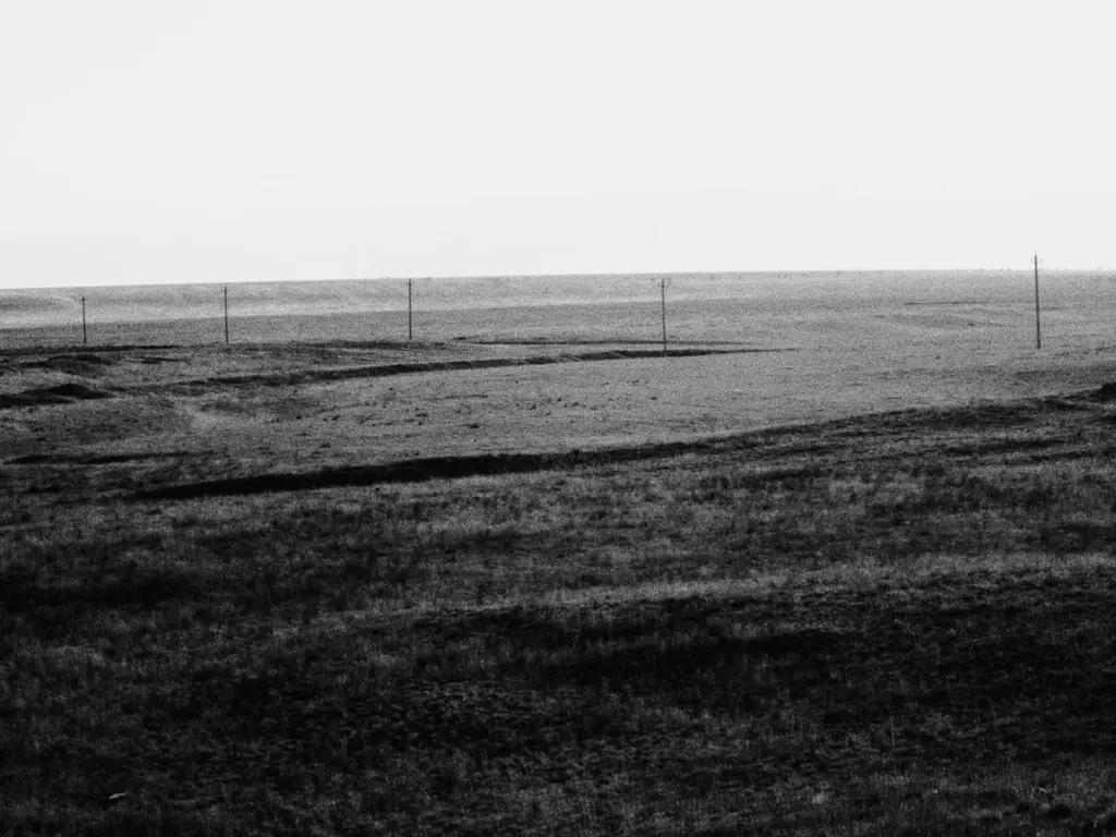 Фото: Новая вкладка