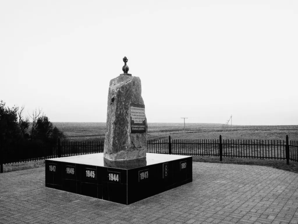 Фото: Новая вкладка