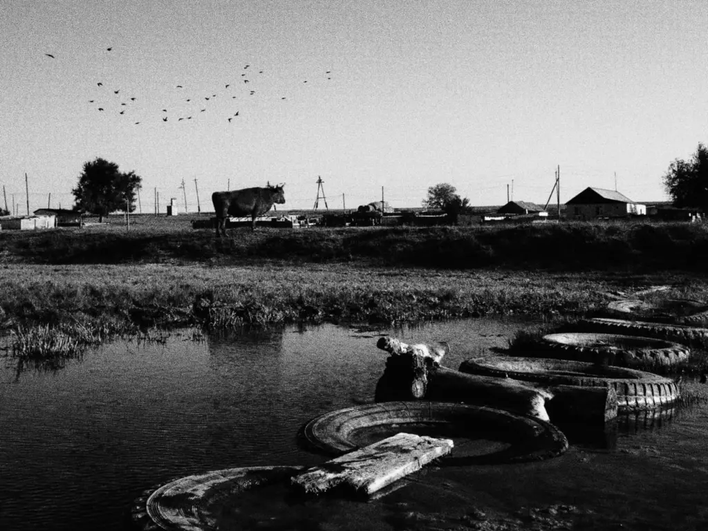 Фото: Новая вкладка