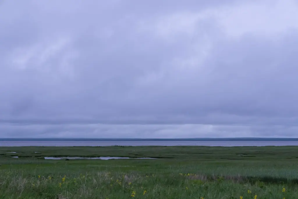 Фото: Владимир Севриновский