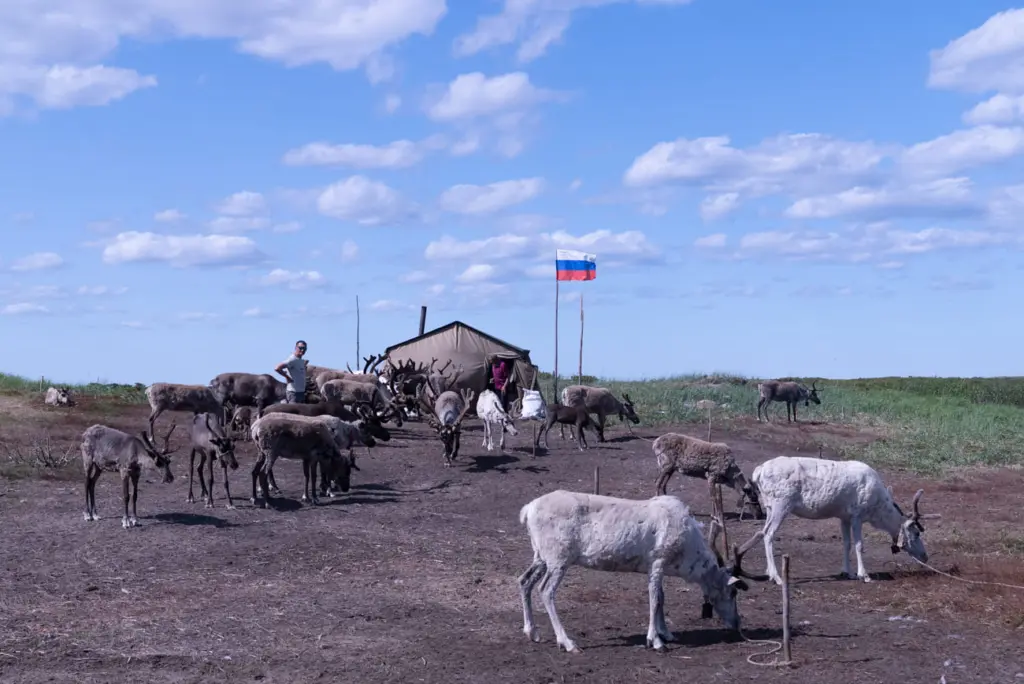 Фото: Владимир Севриновский