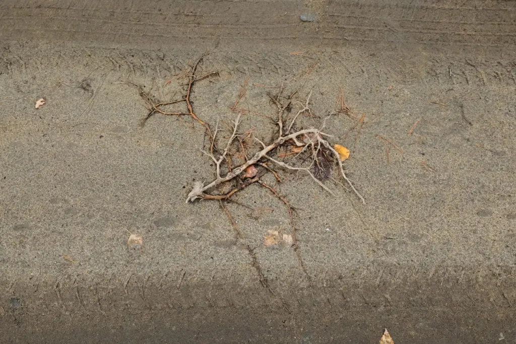 Фото: Иван Козлов