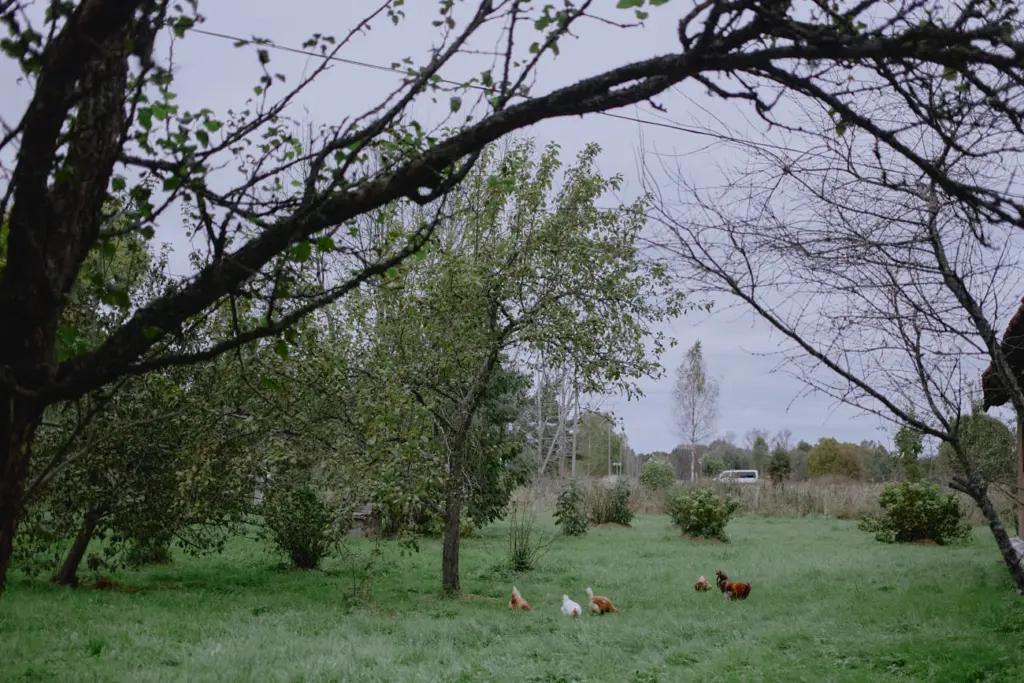 Фото: Лиза Жакова для НВ