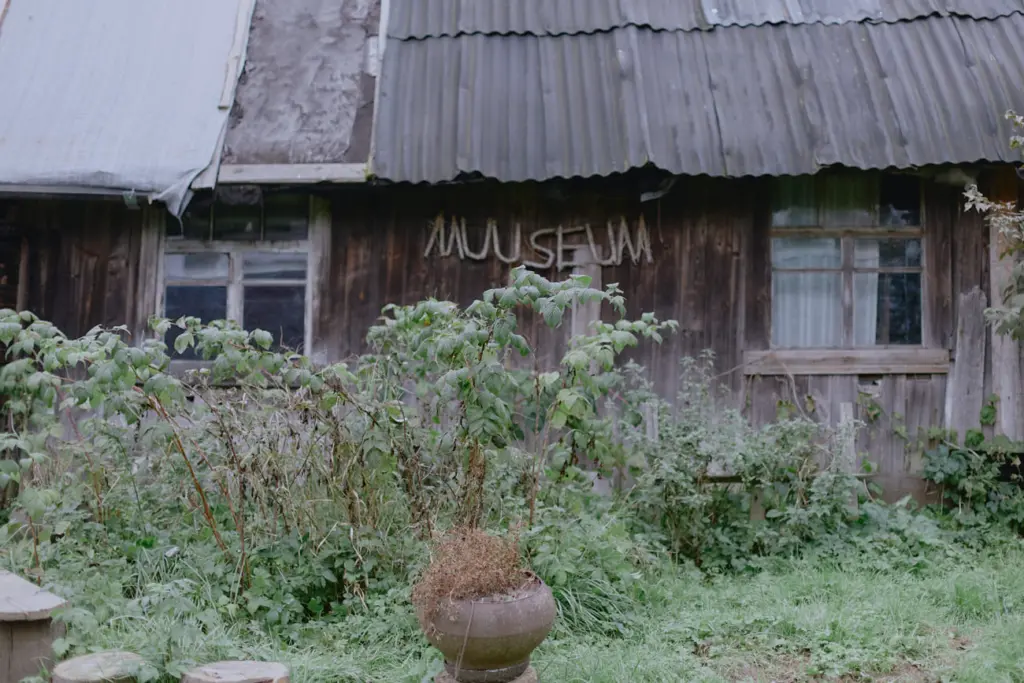 Фото: Лиза Жакова для НВ