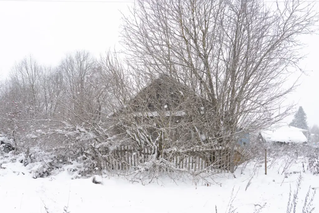 Фото: Новая вкладка