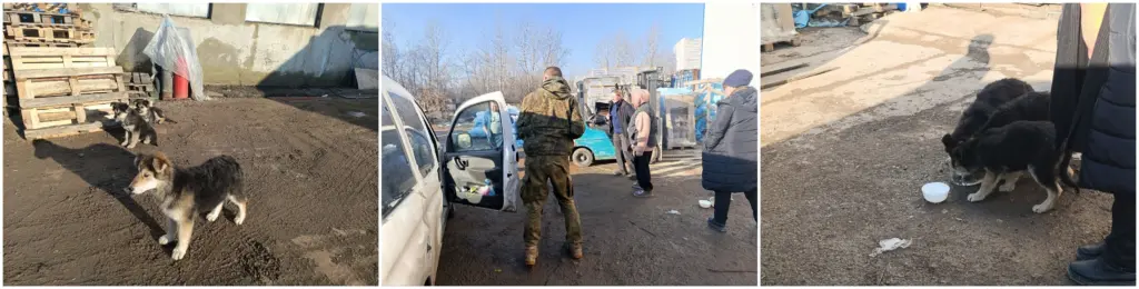 Фото: Надежда Заремова