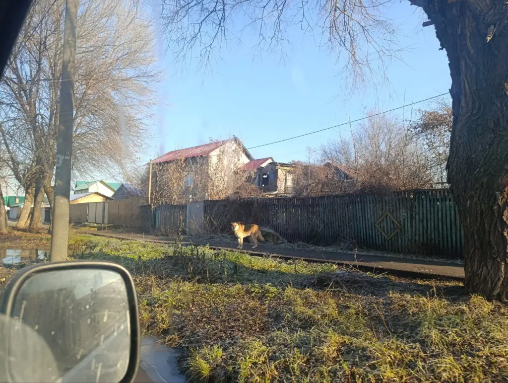 Фото: Надежда Заремова