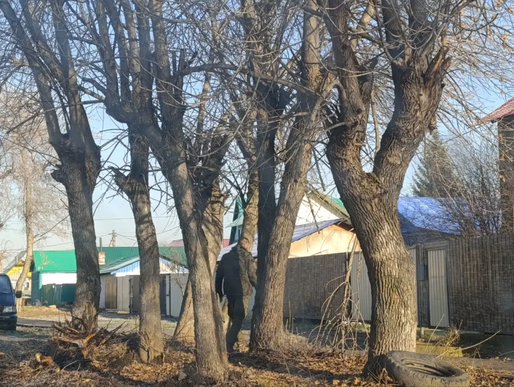 Фото: Надежда Заремова