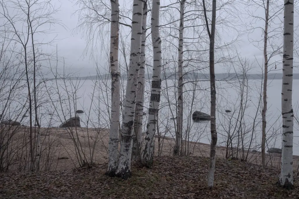 Фото: Наташа Лозинская для НВ