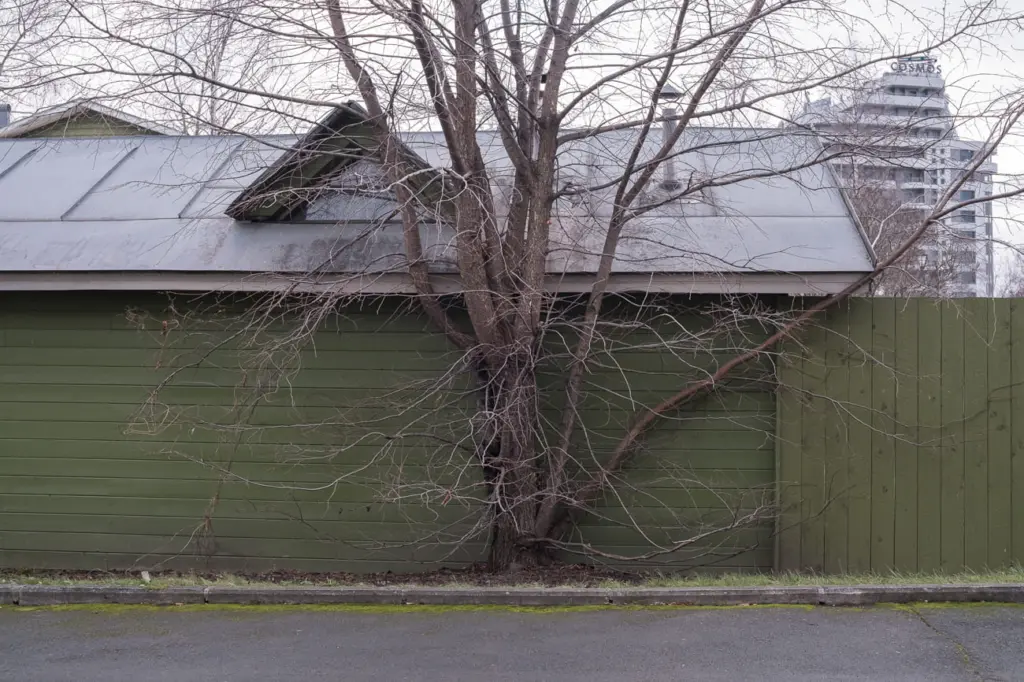 Фото: Наташа Лозинская для НВ