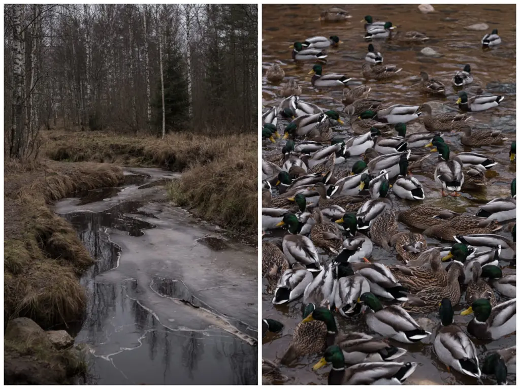 Фото: Наташа Лозинская для НВ
