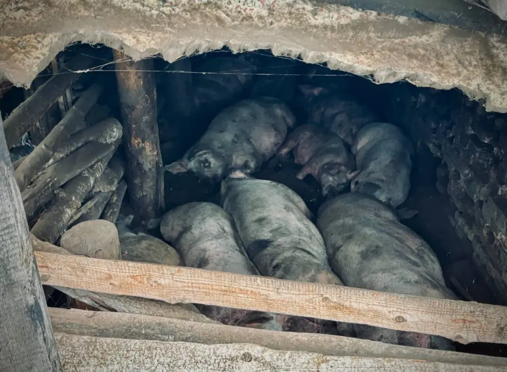 Фото: Иван Козлов